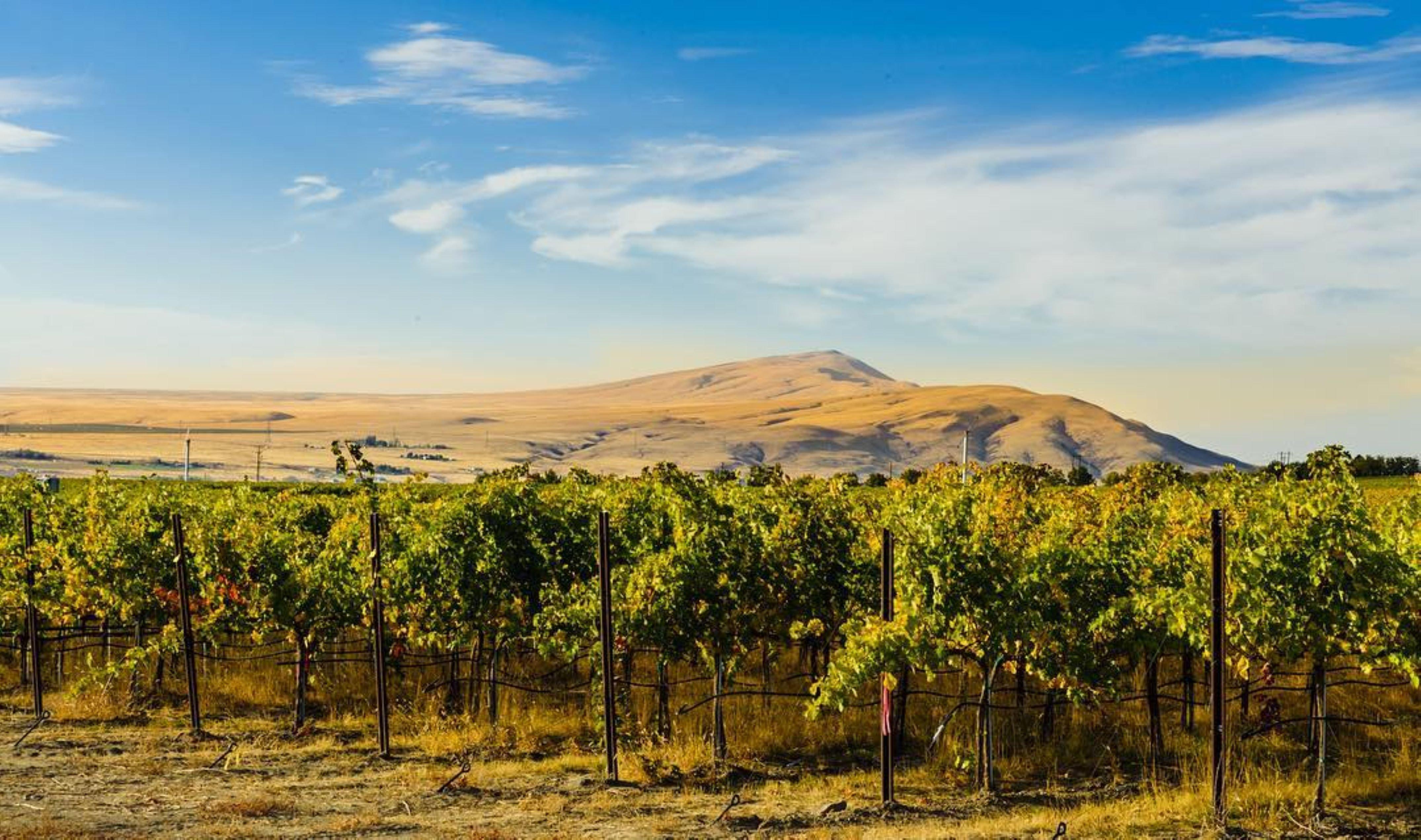 Holiday Inn Express & Suites - Union Gap - Yakima Area By Ihg Eksteriør bilde